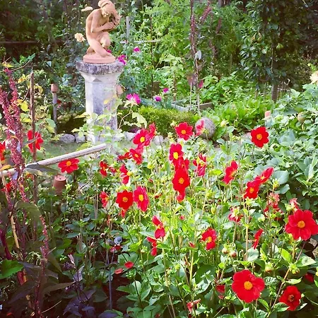 Panzió D'hotes La Borderie Du Go Pres De La Rochelle -