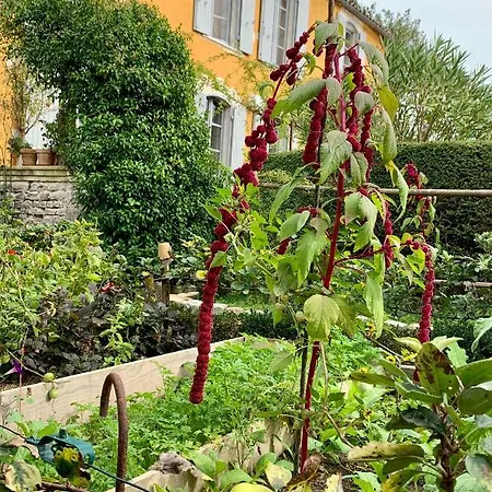 Bed & Breakfast D'hotes La Borderie Du Go Pres De La Rochelle - Nieul-sur-Mer