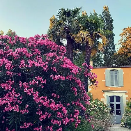 D'hotes La Borderie Du Go Pres De La Rochelle -
