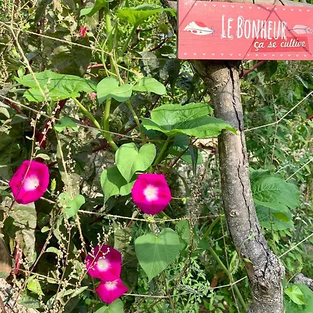 D'hotes La Borderie Du Go Pres De La Rochelle - Panzió 4*