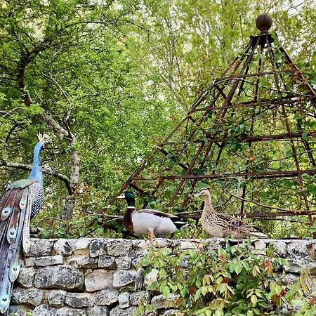 D'hotes La Borderie Du Go Pres De La Rochelle -