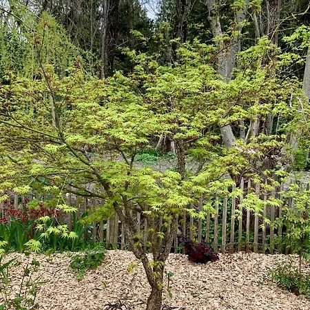 D'hotes La Borderie Du Go Pres De La Rochelle - Bed & Breakfast 4*