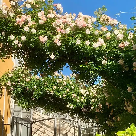 Nocleg ze śniadaniem D'hotes La Borderie Du Go Pres De La Rochelle - 3*
