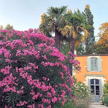 D'hotes La Borderie Du Go Pres De La Rochelle - Nocleg ze śniadaniem Nieul-sur-Mer