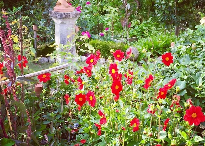 Couette-café D'hôtes La Borderie Du Gô Près De La Rochelle