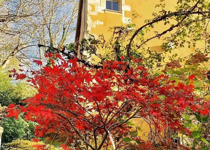 D'hotes La Borderie Du Go Pres De La Rochelle - 4*