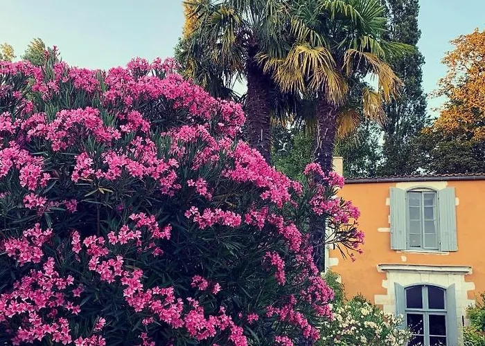 D'hotes La Borderie Du Go Pres De La Rochelle -