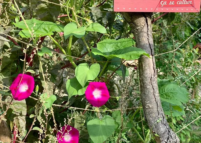 D'hotes La Borderie Du Go Pres De La Rochelle - Bed & Breakfast 4*