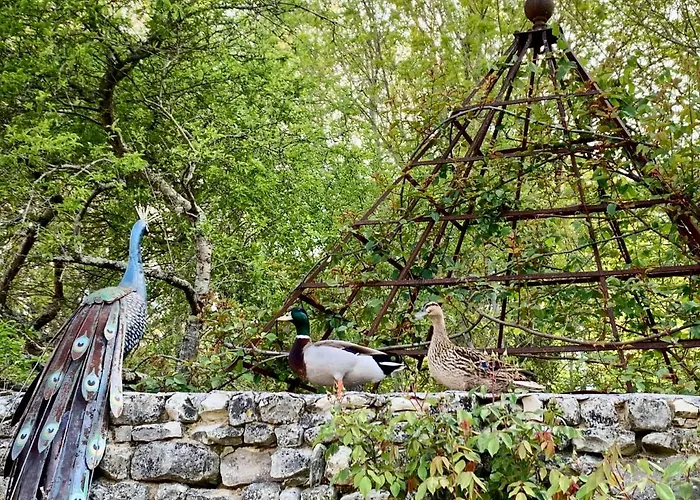 D'hotes La Borderie Du Go Pres De La Rochelle -