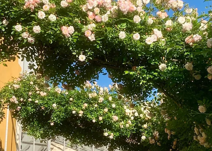 Bed & Breakfast D'hotes La Borderie Du Go Pres De La Rochelle - 4*